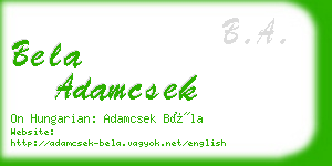 bela adamcsek business card